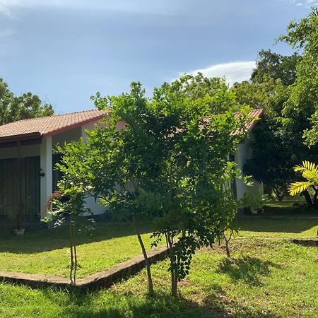 Nature Resort Polonnaruwa Ngoại thất bức ảnh