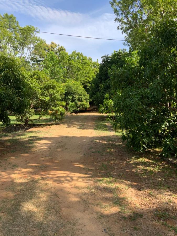 Nature Resort Polonnaruwa Ngoại thất bức ảnh