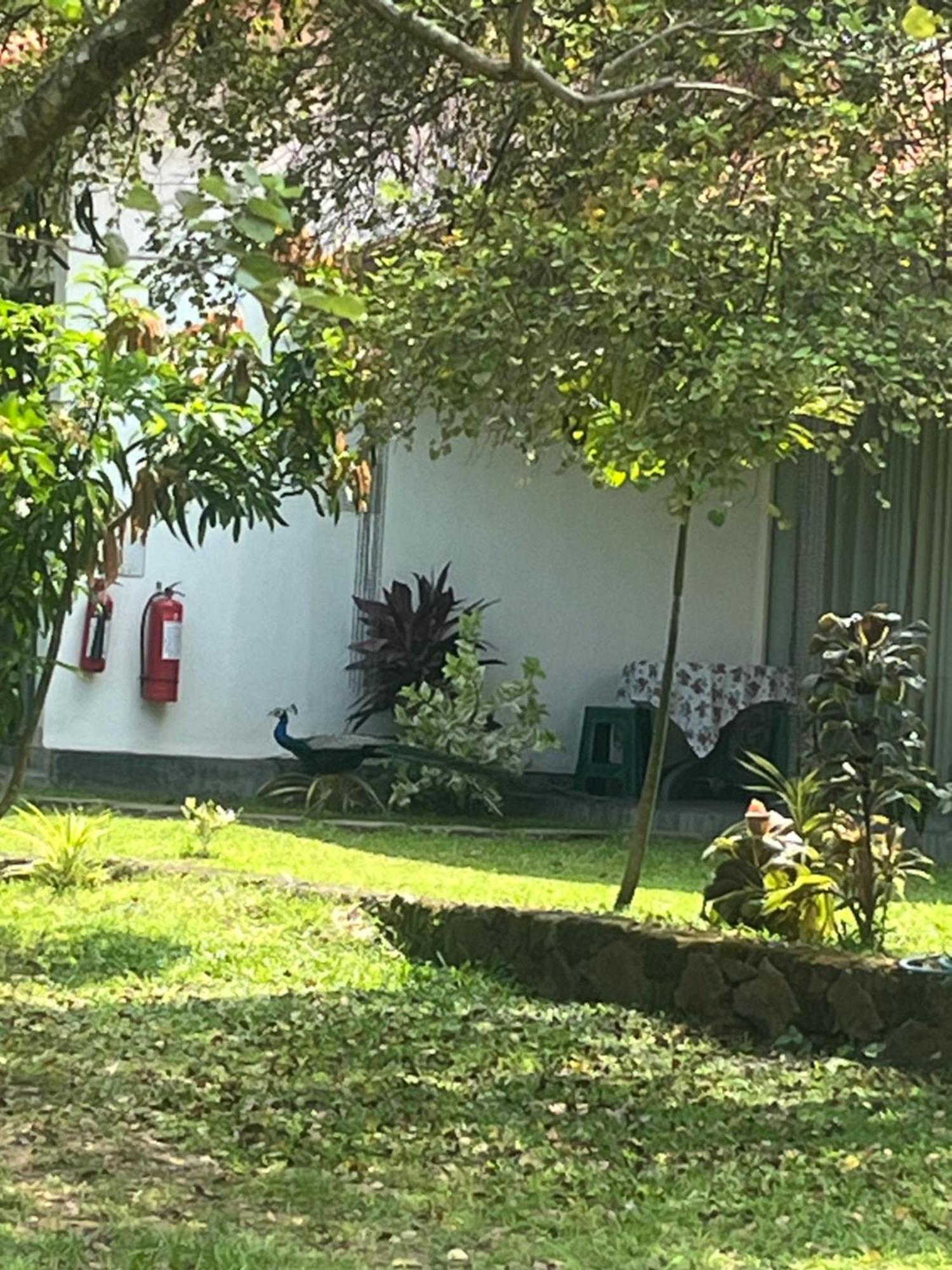 Nature Resort Polonnaruwa Ngoại thất bức ảnh